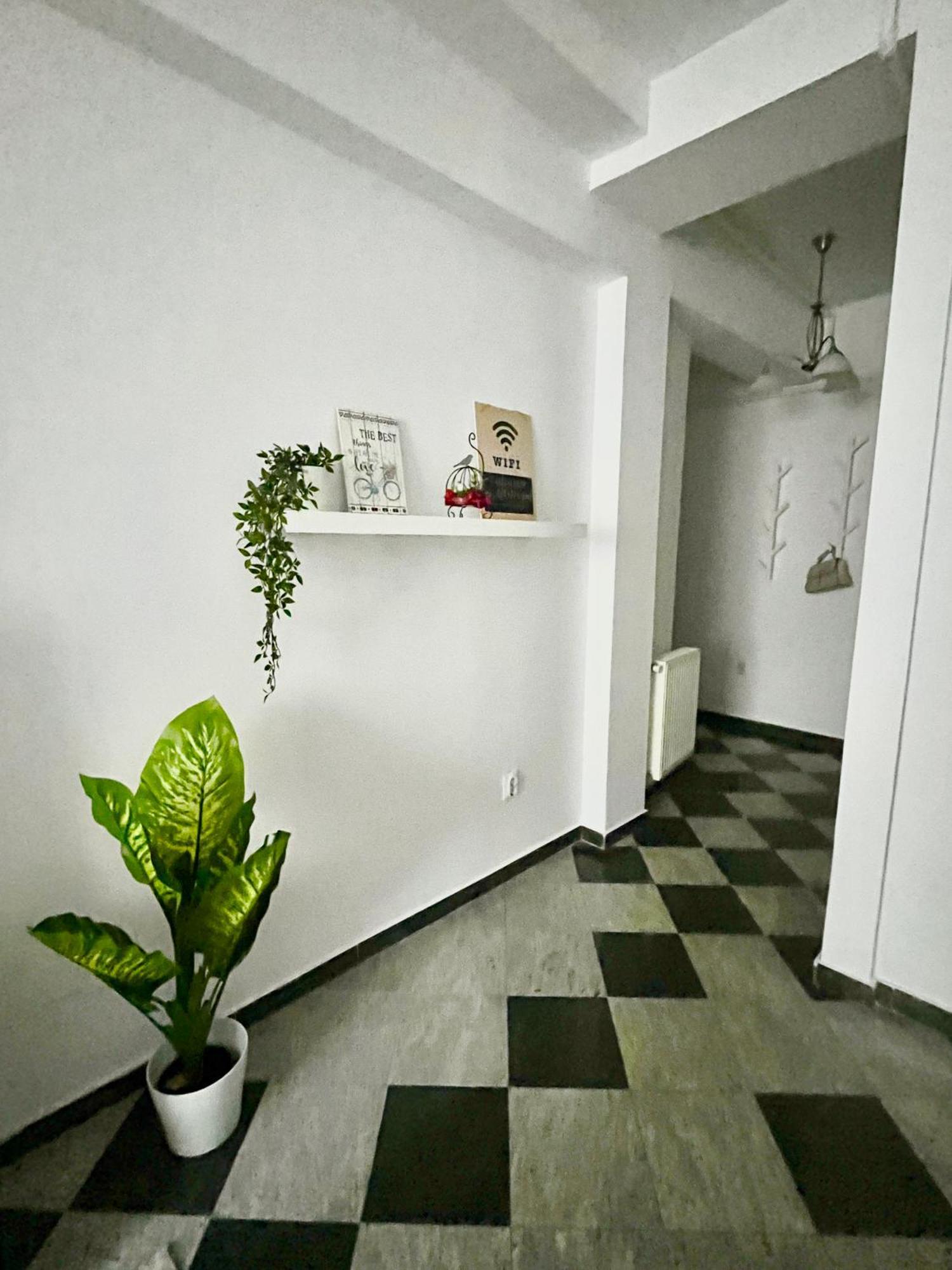 Victoriei Spacious Studio Bukarest Exteriör bild
